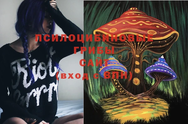 меф Нефтегорск