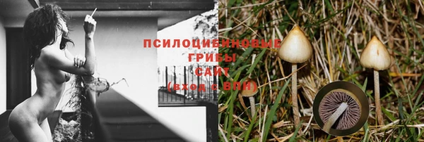 меф Нефтегорск