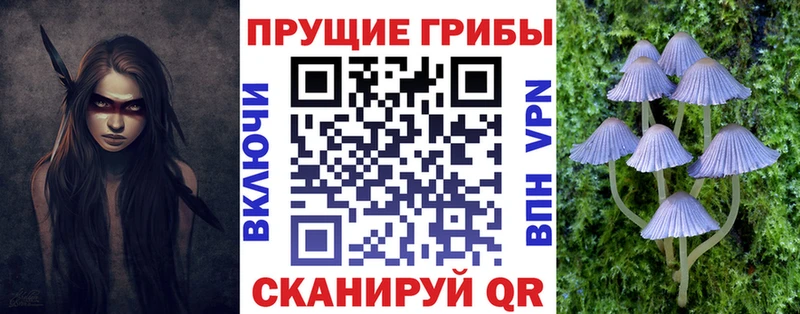 Галлюциногенные грибы GOLDEN TEACHER  где купить наркотик  Нюрба 